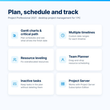 Project Professional 2021 – Key Features